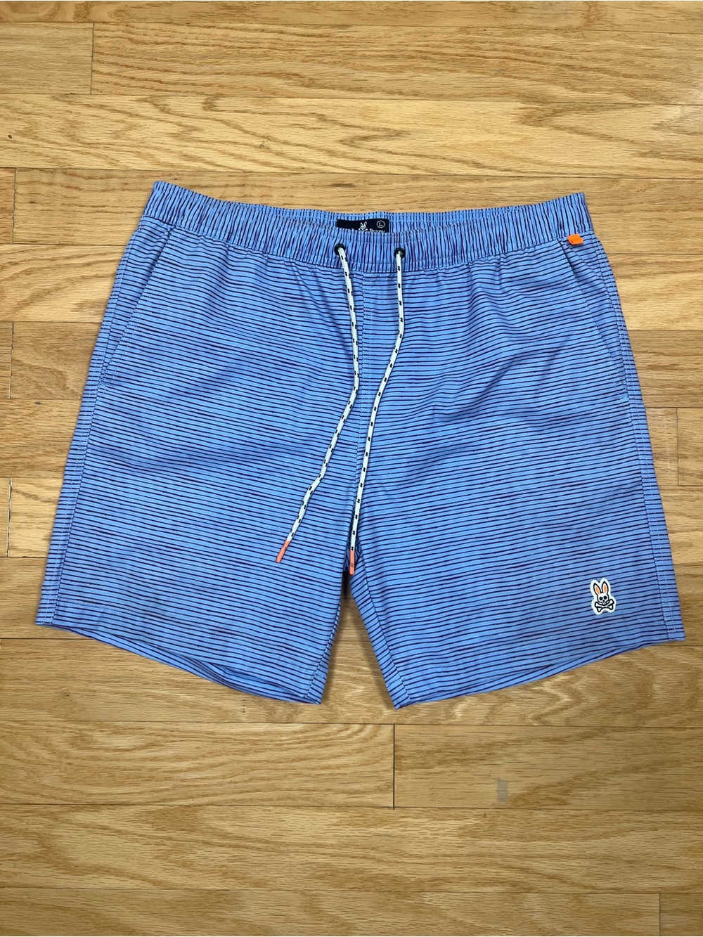 Psycho Bunny Lukas Hand Drawn Stripe Swim Trunks
